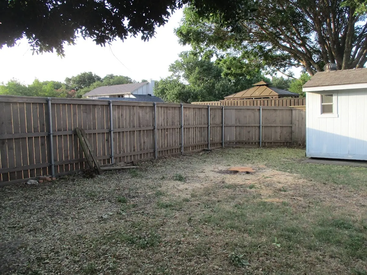 Cleared yard after professional tree removal in North Walpole